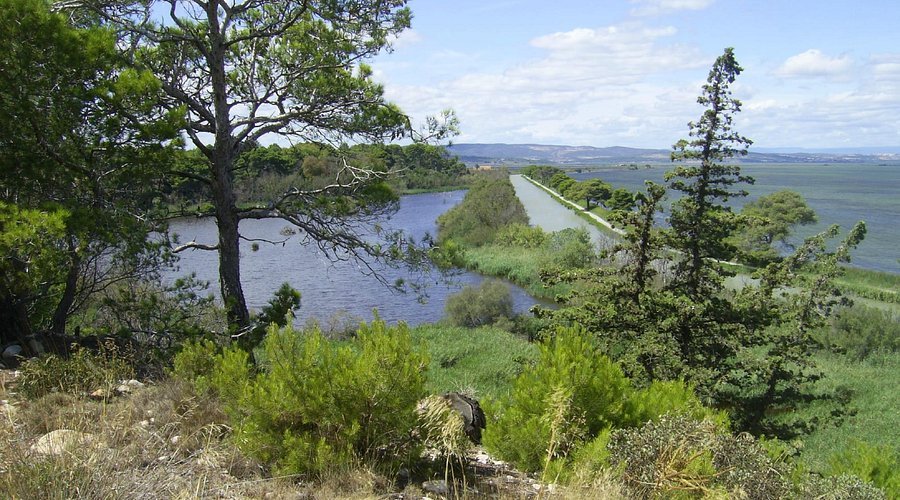 La Réserve naturelle de Sainte-Lucie, île sauvage entre étangs et garrigue