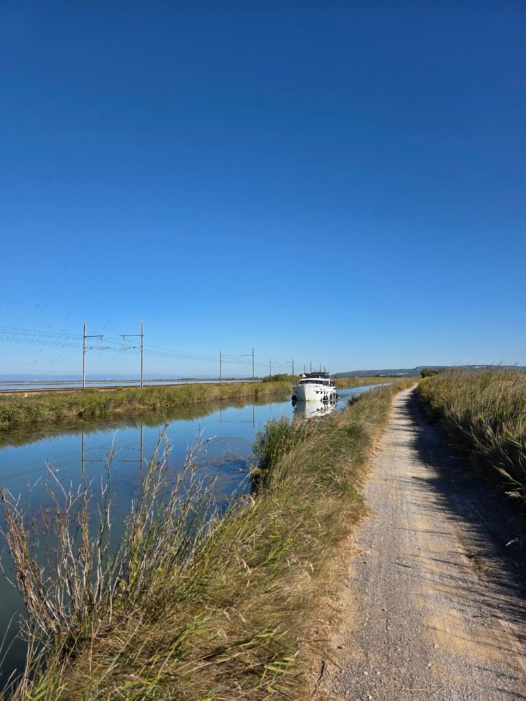 Sentier de randonnée balisé serpentant à travers la pinède méditerranéenne de l'île Sainte-Lucie, une balade nature accessible depuis Narbonne.