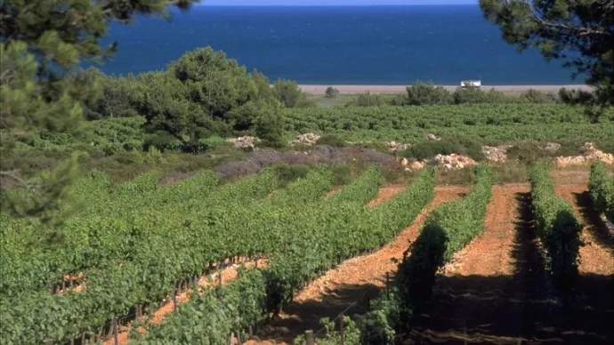 La Clape Celine and Gilles Deschamps.jpg